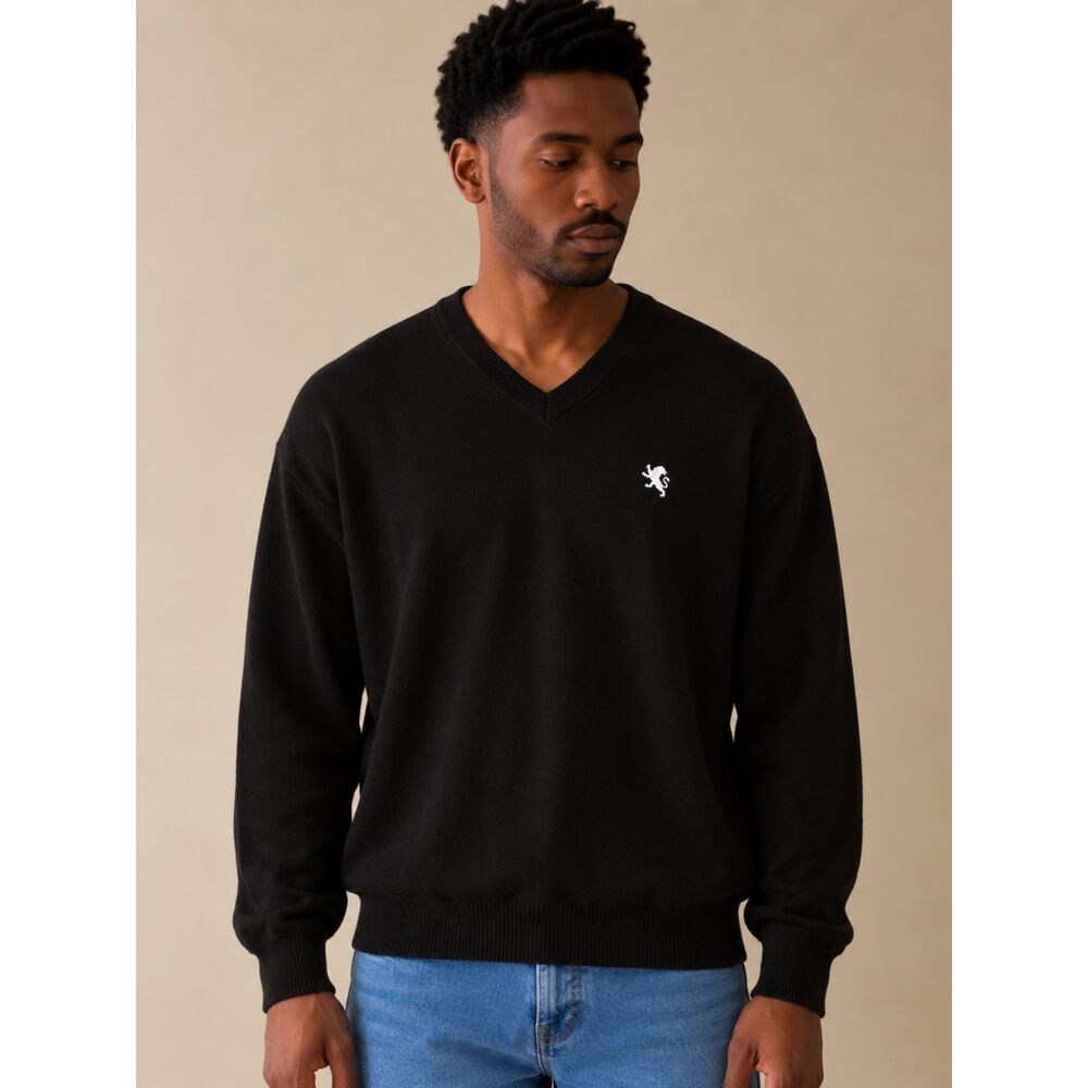 Express Mens Size XL Black V-Neck Pullover Long Sleeve Sweater Minimalist